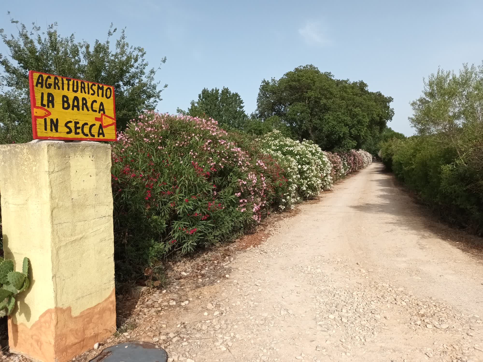 Insegna Ingresso struttura viale oleandri in fiore