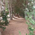 Giardino alberi