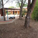 Amaca in giardino alberato