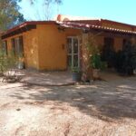 Casa rustica circondata da piante.
