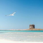 Spiaggia La Pelosa a Stintino