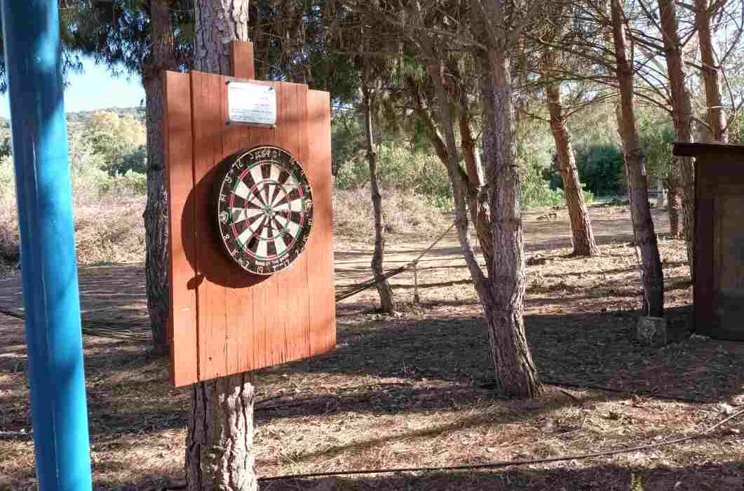 Gioco freccette all'ombra sotto gli alberi