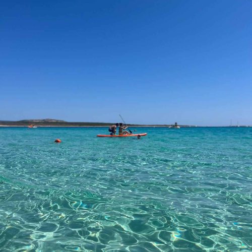 Mare cristallino a Porto Conte vicino ad Alghero