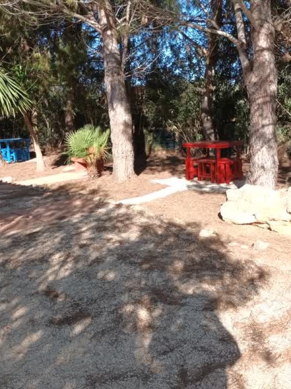 Giardino con alberi e panchine colorate
