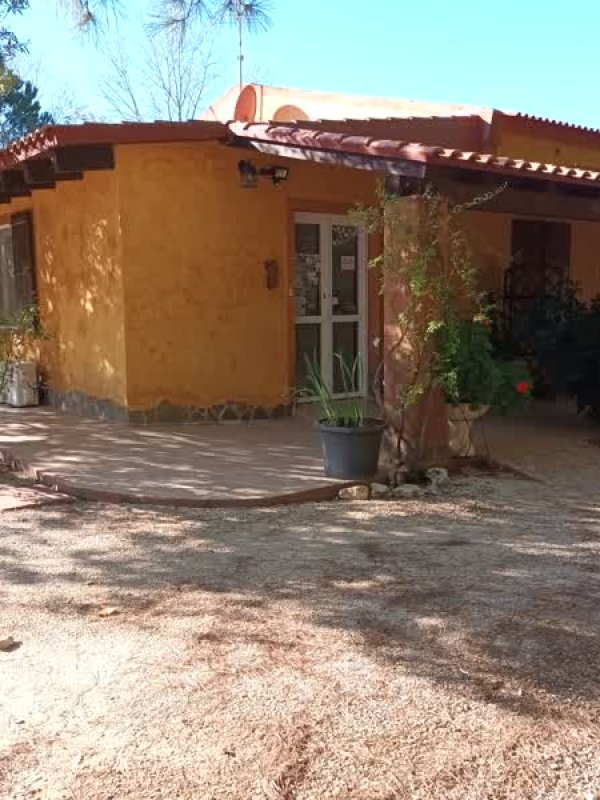 Casa rustica circondata da piante.