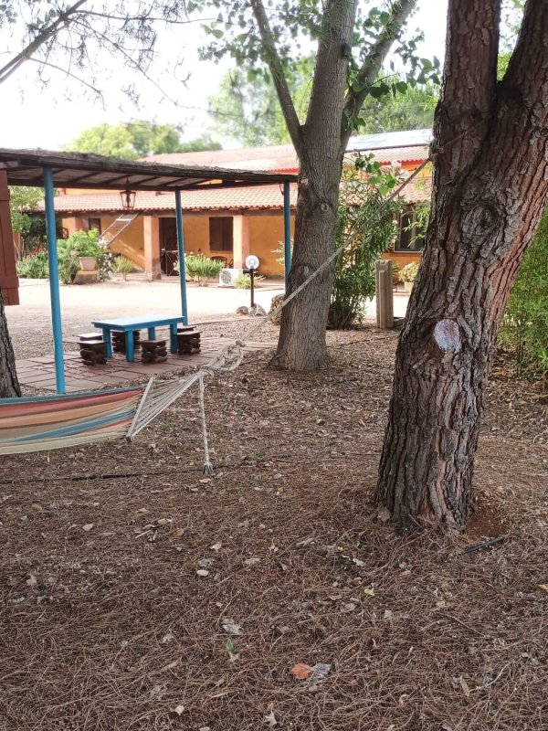 Amaca tavolino per bambini in giardino