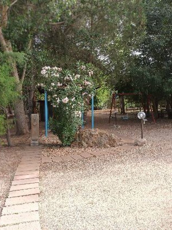 Giardino alberi fontanella